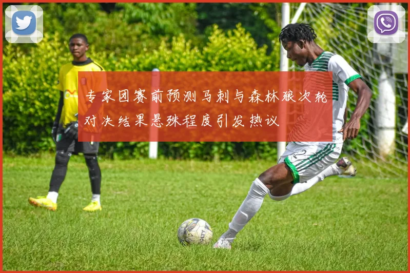 专家团赛前预测马刺与森林狼次轮对决结果悬殊程度引发热议
