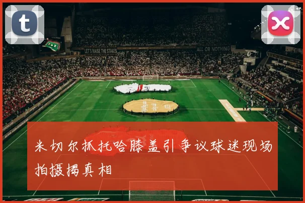 米切尔抓托哈膝盖引争议球迷现场拍摄揭真相